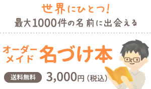 世界にひとつ！最大1000件の名前に出会えるオーダーメイド名づけ本 送料無料3,000円（税込）