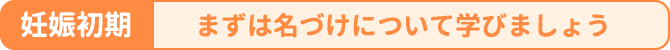 妊娠初期／まずは名づけについて学びましょう