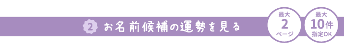 2お名前候補の運勢を見る 最大2ページ 最大10件指定OK