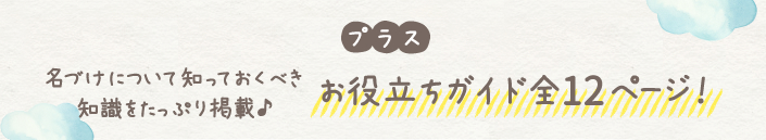 プラス 名づけについて知っておくべき知識をたっぷり掲載♪お役立ちガイド全12ページ！