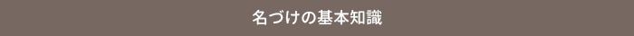 名づけの基本知識