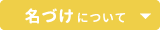 名づけについて