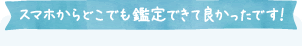 スマホからどこでも鑑定できて良かったです！